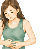 内臓整体のイラスト